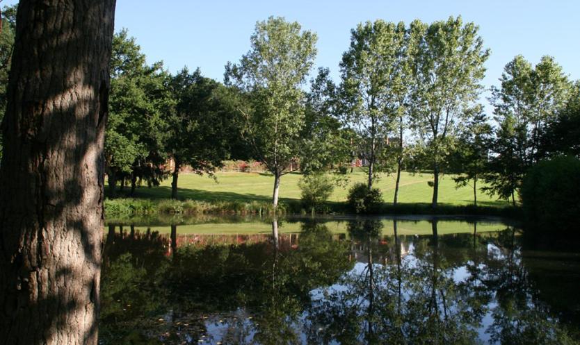 Domaine De Vilotte Bed & Breakfast Ardenais Eksteriør bilde